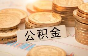 盈余公积金