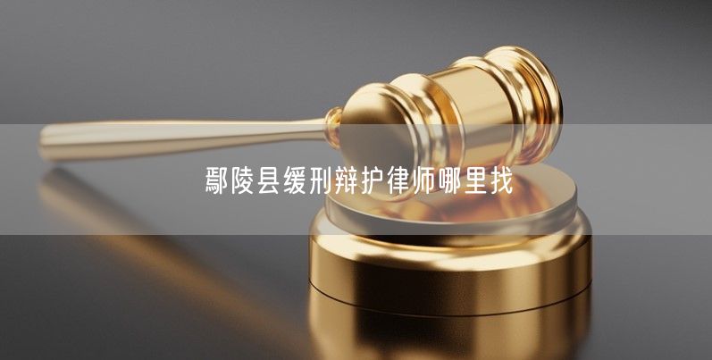 鄢陵县缓刑辩护律师哪里找