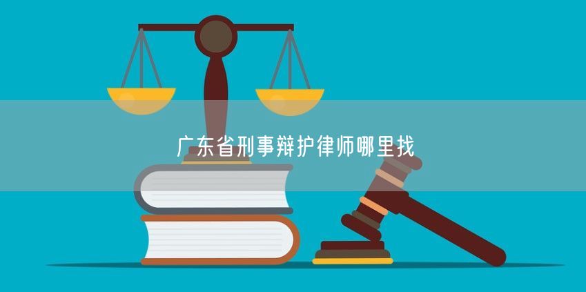 广东省刑事辩护律师哪里找