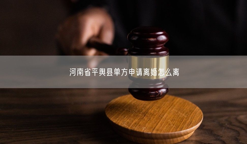 河南省平舆县单方申请离婚怎么离