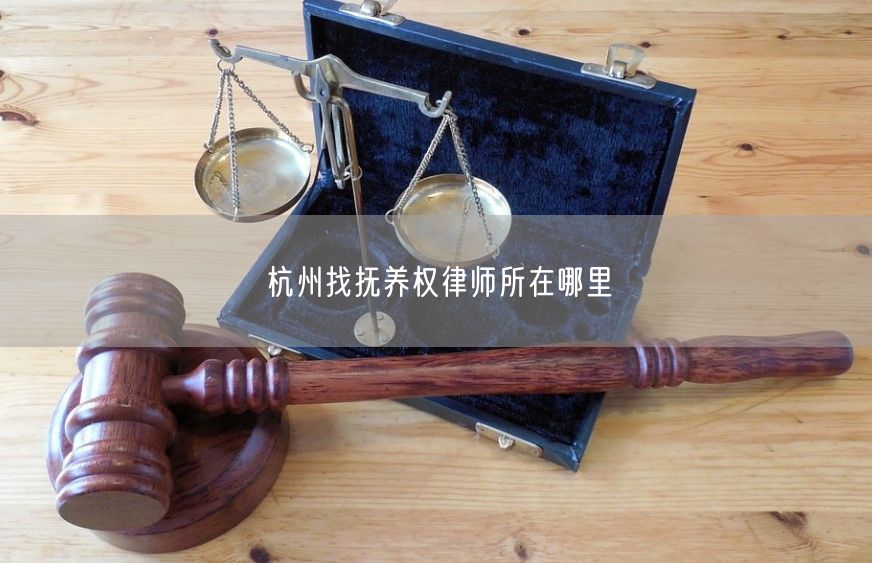 杭州找抚养权律师所在哪里