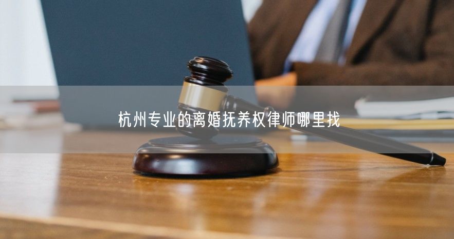 杭州专业的离婚抚养权律师哪里找