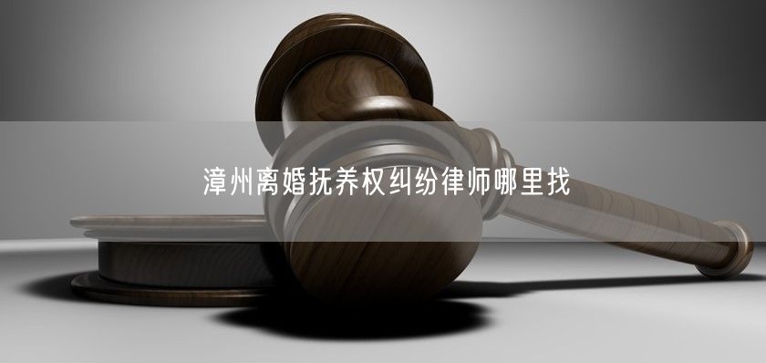 漳州离婚抚养权纠纷律师哪里找