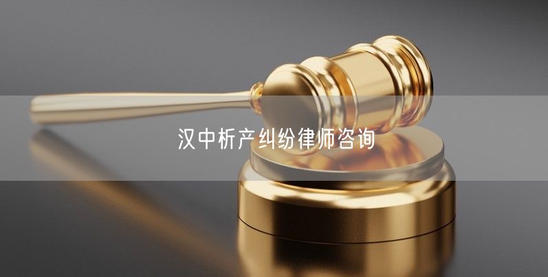 汉中析产纠纷律师咨询
