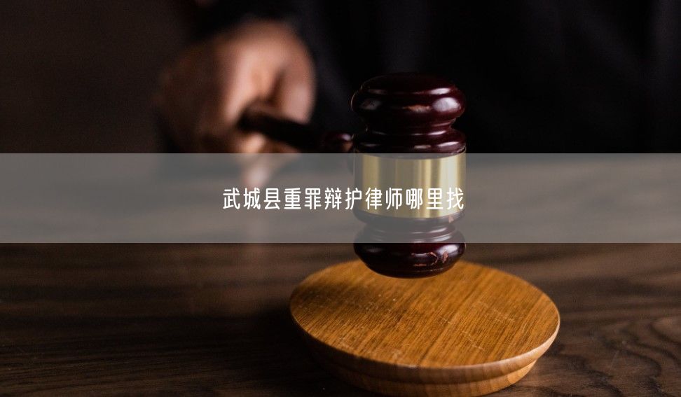 武城县重罪辩护律师哪里找