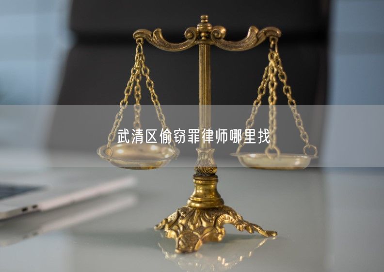 武清区偷窃罪律师哪里找