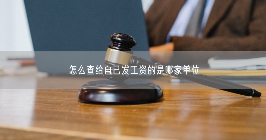 怎么查给自己发工资的是哪家单位