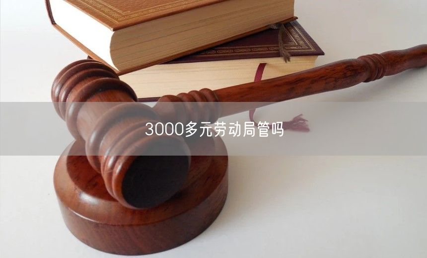 3000多元劳动局管吗