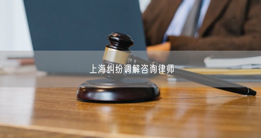 上海纠纷调解咨询律师